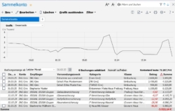 Lexware FinanzManager 2026: Sammelkonto